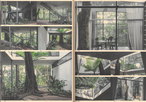 Veronika Kellndorfer : Wild Windows / Mark Wigley, Beatriz Colomina