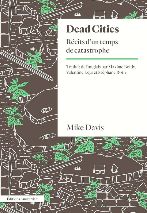 Dead Cities: Récits d'un temps de catastophes cover image