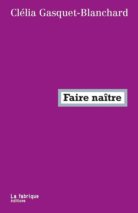 Faire naître: Ce que le capitalisme fait à la maternité cover image