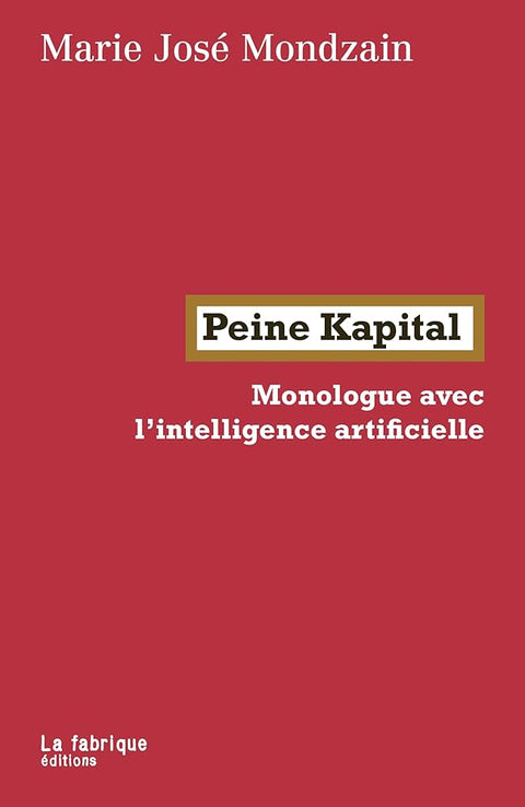 Peine Kapital: Monologue avec l'intelligence artificielle cover image