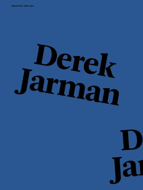 Pleased to meet you : Derek Jarman cover image