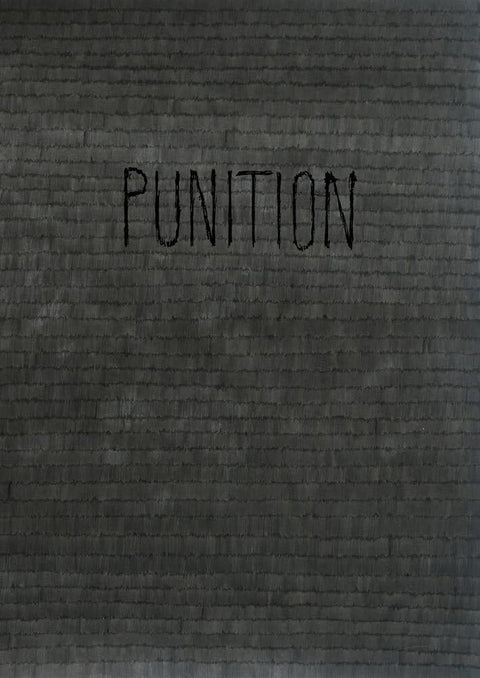 Punition cover image