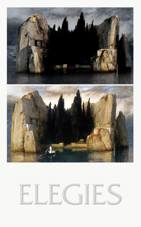 Elegies: Laments for an architectural project cover image