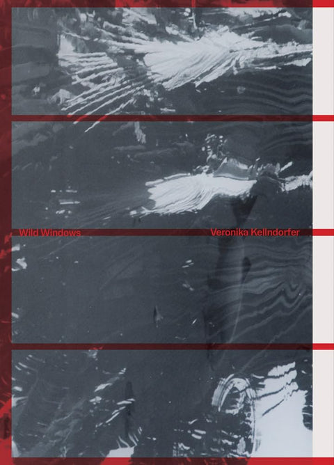 Veronika Kellndorfer: Wild Windows cover image