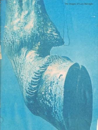 The Images of Luis Barragán cover image