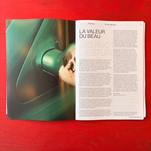 A+ 319 RECLA+IMING BEAUTY / Volume 53 (2026) N.4 FR