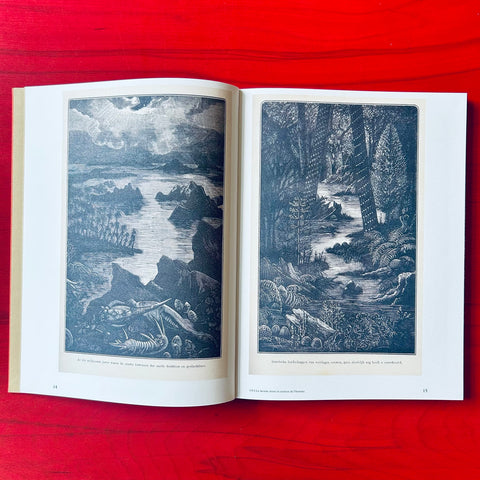 Floating Signifiers – Case studies on image, origin and representation / Daan Paans