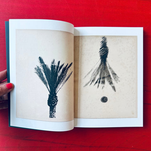 Once The Adventure Is Accepted / Bruno V. Roels
