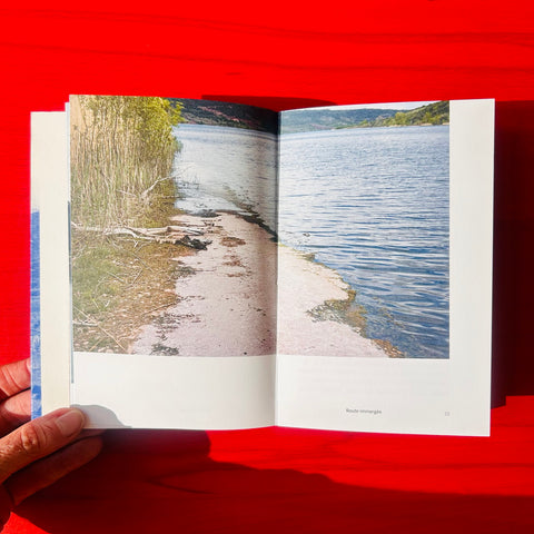 Le Lac / Antoine Picard