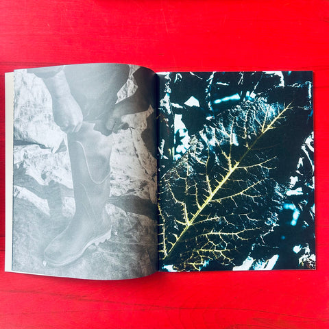 Le Jardin d’Hannibal / Marine Lanier