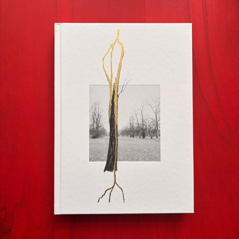 Giuseppe Penone : Thoughts in the Roots (Serpentine Gallery) / Claude Adjil, Alexa Chow, Giuseppe Penone