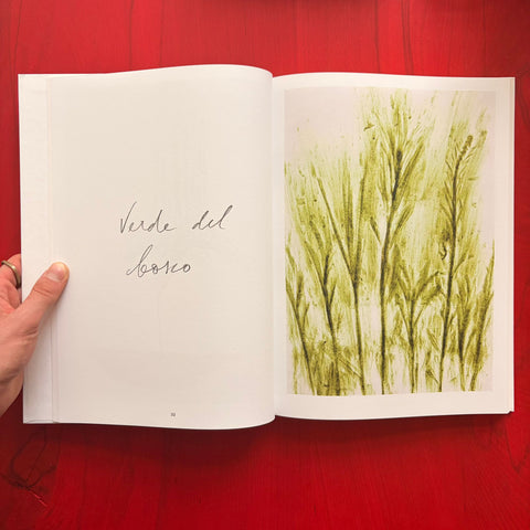 Giuseppe Penone : Thoughts in the Roots (Serpentine Gallery) / Claude Adjil, Alexa Chow, Giuseppe Penone
