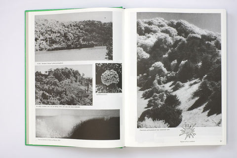 Parallel Encyclopedia #2 (Revised Edition) / Batia Suter
