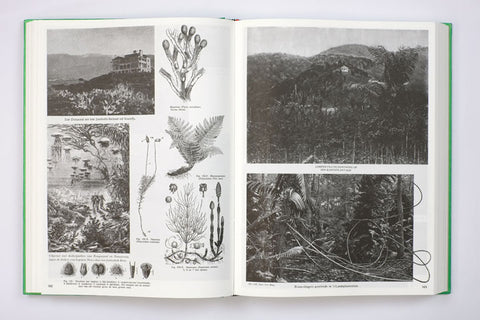 Parallel Encyclopedia #2 (Revised Edition) / Batia Suter