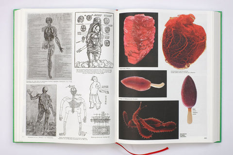 Parallel Encyclopedia #2 (Revised Edition) / Batia Suter