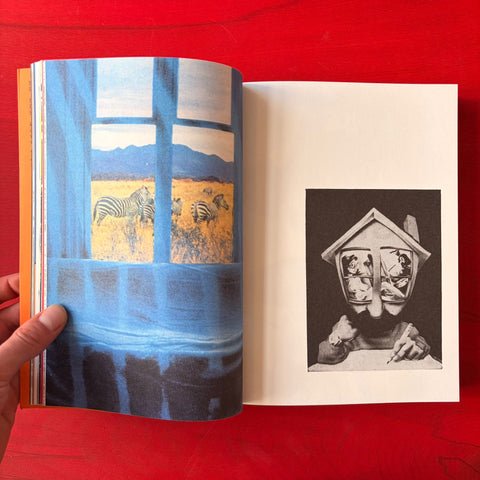 RADICAL MEDIA ARCHIVE VOL.01: An Anthology Of Counterculture and Political Graphic Design, 1