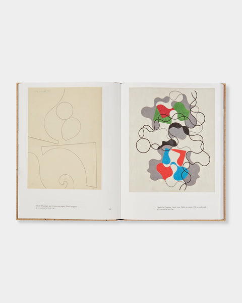 Sophie Taeuber-Arp: La règle des courbes / The Rule of Curves / Briony Fer