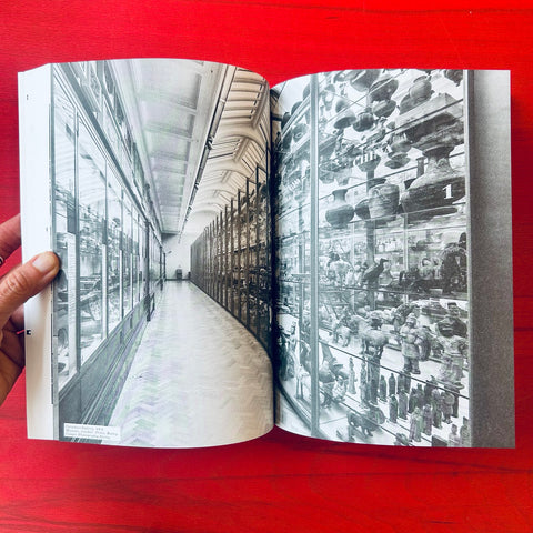 Keeping Culture: The Architecture of Storage / Susan Holden, Ashley Paine