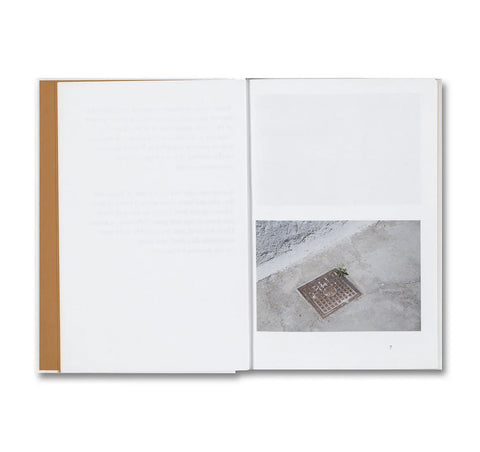 Weeds: a Terminating Theory / Queenie Li Kwan
