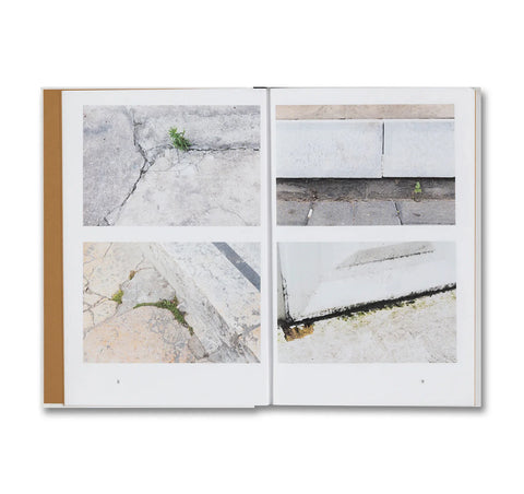 Weeds: a Terminating Theory / Queenie Li Kwan