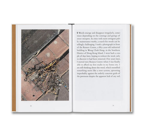 Weeds: a Terminating Theory / Queenie Li Kwan