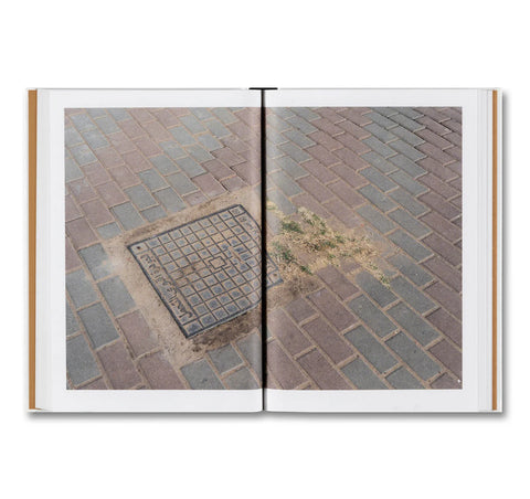 Weeds: a Terminating Theory / Queenie Li Kwan