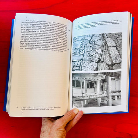 Post Démolition: L'Architecture Face aux Nouvelles Ruines / Paul Landauer