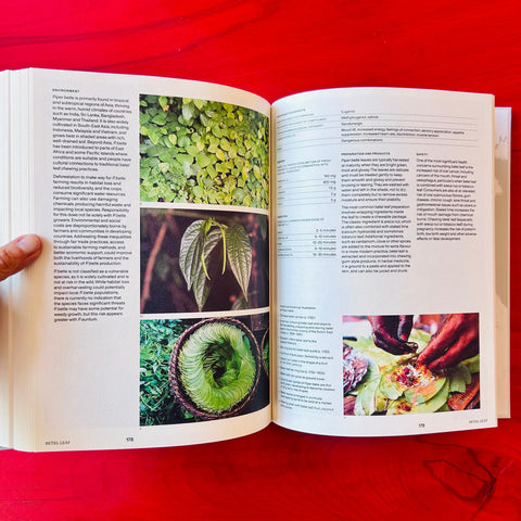 Psychoactive Plants and Fungi  / Liam Engel