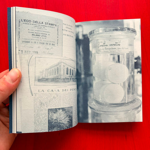 The Aquarium is a Listening Glass / Louise E. Carver, Angela Rui