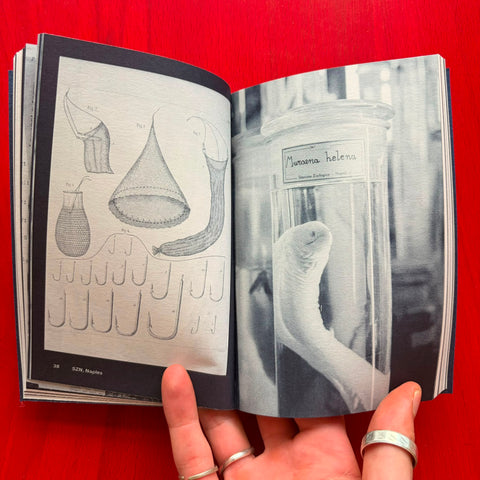 The Aquarium is a Listening Glass / Louise E. Carver, Angela Rui