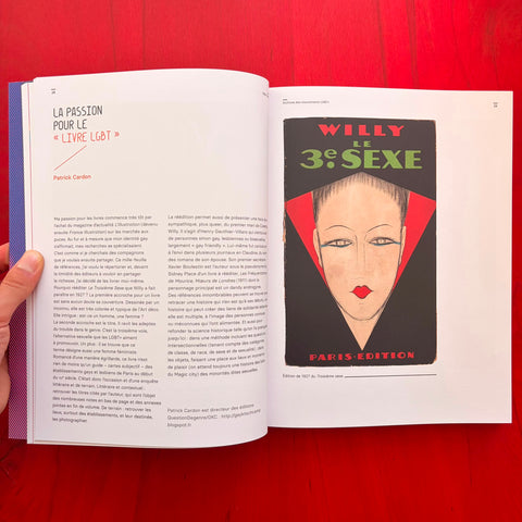 Archives des mouvements LGBT+: Une histoire de luttes de 1890 à nos jours / Antoine Idier, Gwen, Patrick Cardon, Alice Coffin, Catherine Gonnard, Ary Gordien, Hélène Hazera, Abdellah Taïa