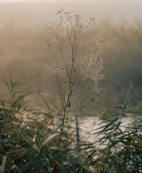 The Art of Living Twice / Simen K. Lambrecht