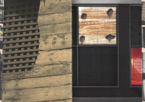 Veronika Kellndorfer : Wild Windows / Mark Wigley, Beatriz Colomina