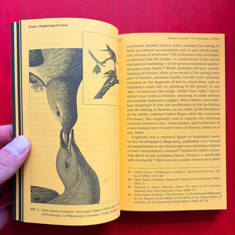 With a bird: A Reader on Avian Kinship / Collectif
