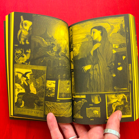 With a bird: A Reader on Avian Kinship / Collectif
