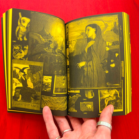 With a bird: A Reader on Avian Kinship / Collectif
