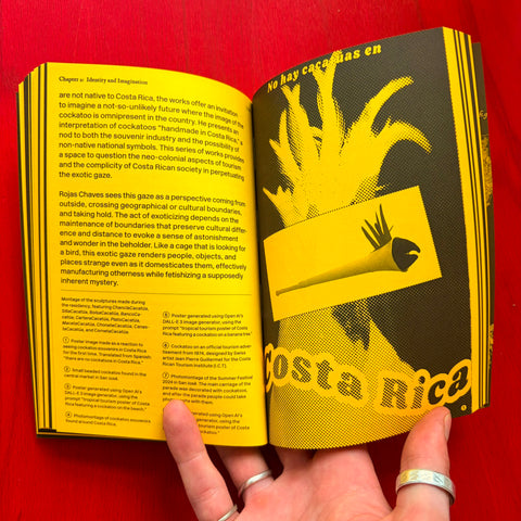 With a bird: A Reader on Avian Kinship / Collectif