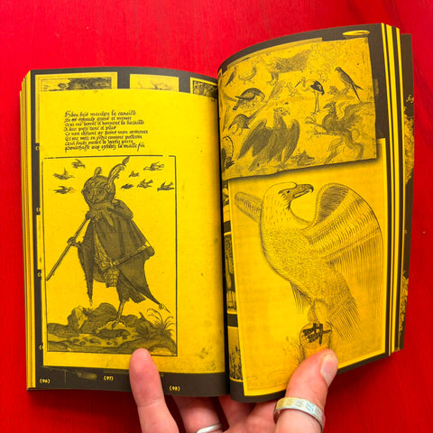 With a bird: A Reader on Avian Kinship / Collectif