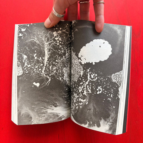 Fantasy: Invention, Creativity, and Imagination in Visual Communications / Bruno Munari