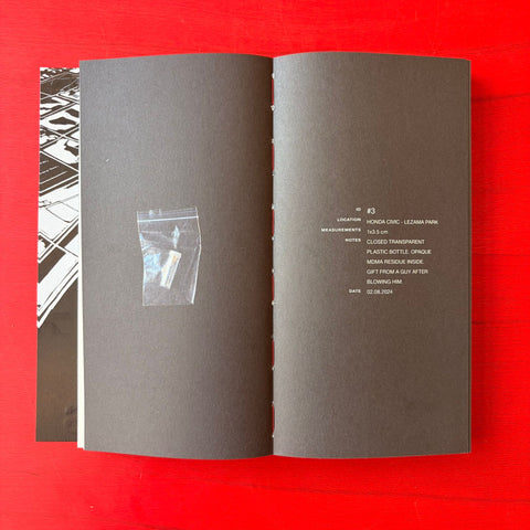 Set Margins' #47 : Cruising Diairies / Franco Dupuy