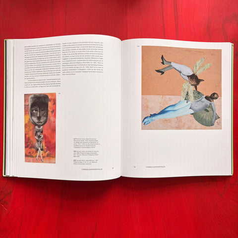 Cut Out: Une histoire féministe du photomontage, collage et assemblage / Fiona Rogers