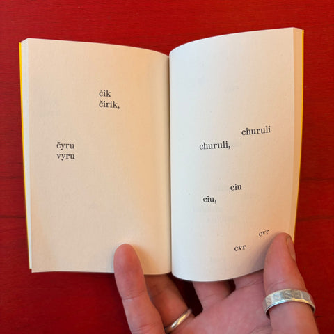 What Birds Say / Elfi Seidel