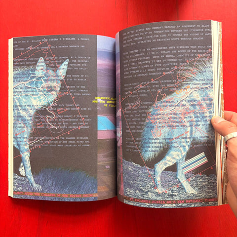 Enfleshed: Ecologies of Entities and Beings / Kristiina Koskentola, Marjolein van der Loo