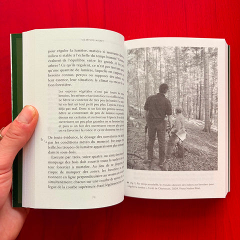 Les arts de la forêt: Sentir, cheminer, rêver / Véronique Dassié, Yves Poss