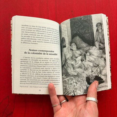 Frontieres Queer: Sexualité, colonialité, décolonialité / Sandeep Bakshi