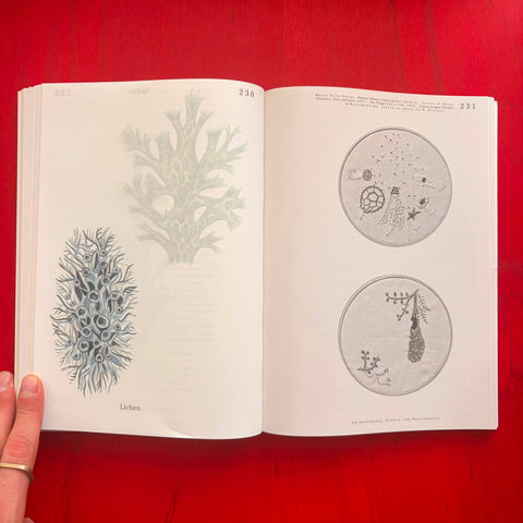 Let's Become Fungal!: Mycelium Teachings and the Arts / Yasmine Ostendorf-Rodríguez, Rommy Gonzalez