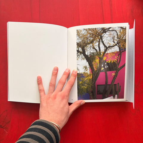 Gilardi House: Barragan’s Last Witness, José Luis Alvarez Tinajero