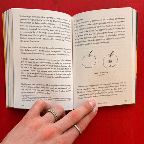 La révélation argentique / Nicolas Andry
