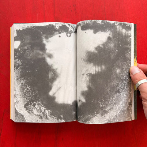 La révélation argentique / Nicolas Andry