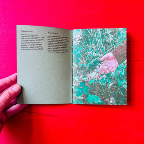 Melon #1: On Foraging in Palestine, Japan & Maastricht